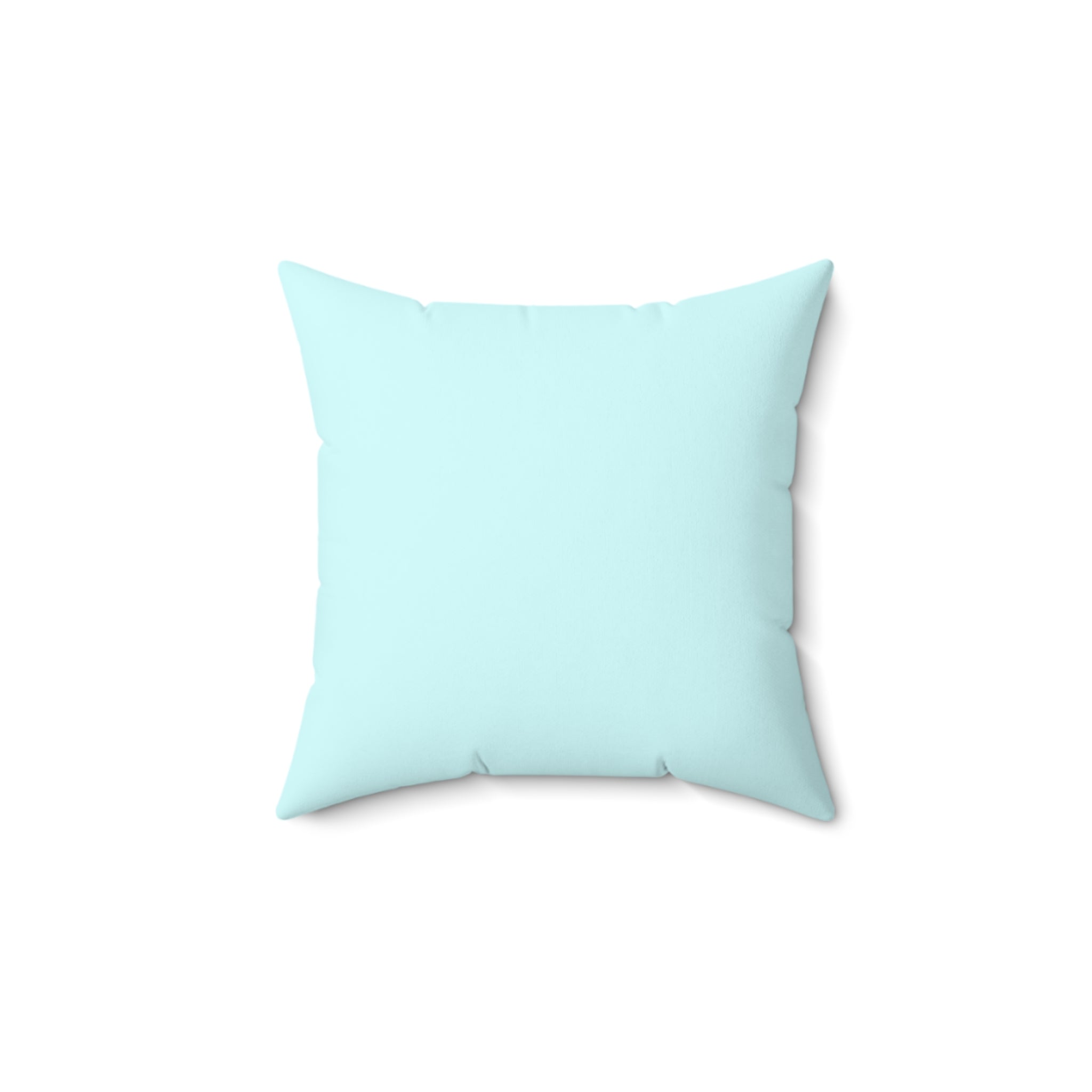 The Silly Teacher Classroom Pillow